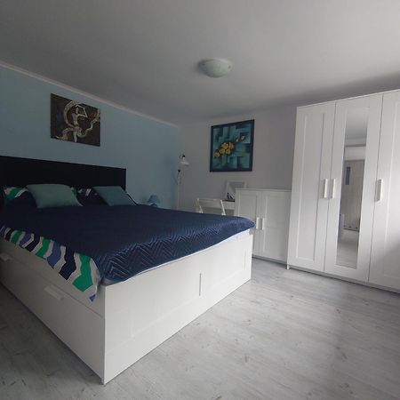 Enklawa Nad Kwisa Apartament 2 Świeradów-Zdrój 客房 照片